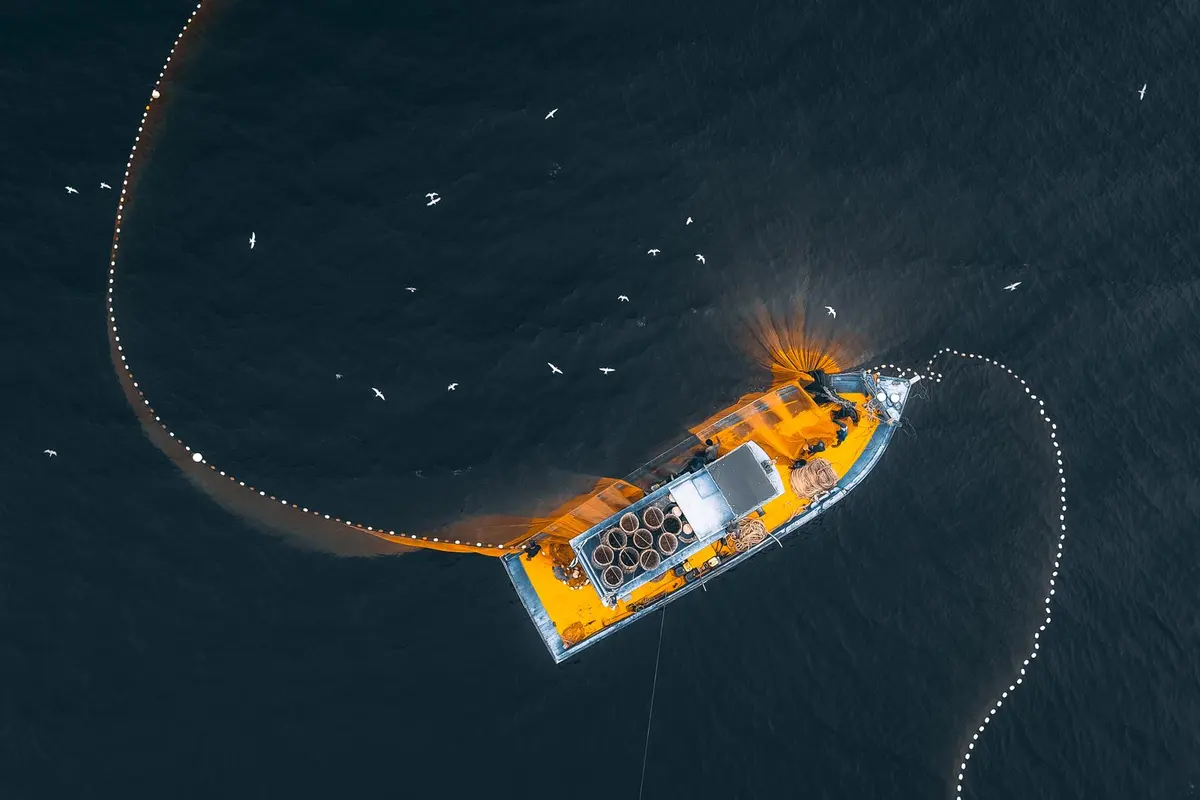 An overhead view of a fishing trawler trailing its nets across open water, ringed by seabirds.